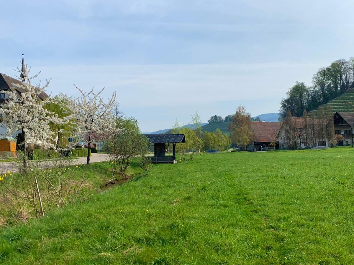 Ferienwohnung Winzerhof Männle Oberkirch  Exterior foto